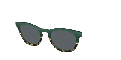 The Polarized Spruce Tortoise Sun Top