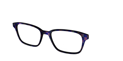 The Black Holographic Check