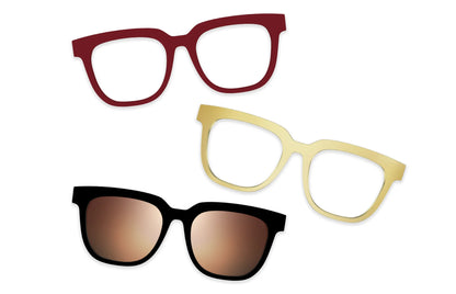 Tortoise - Set