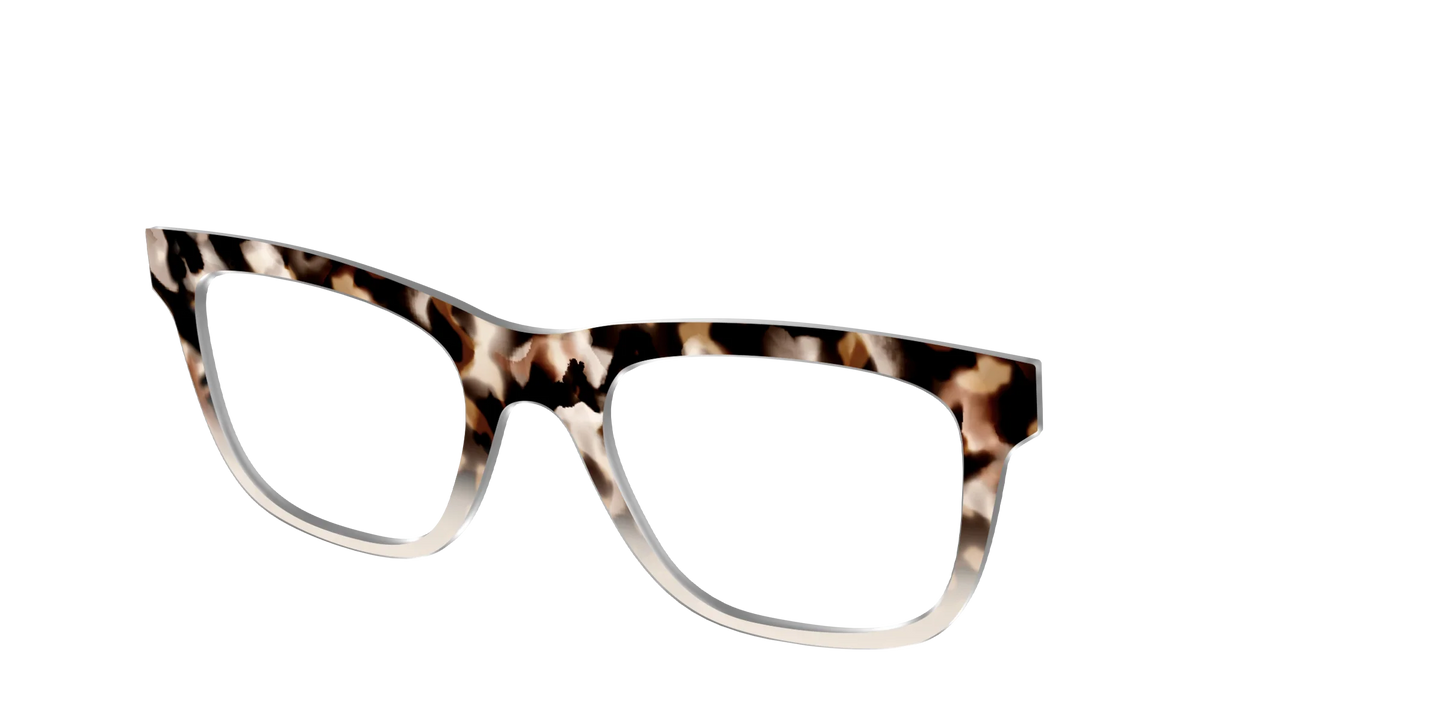 The Vanilla Latte Tortoise