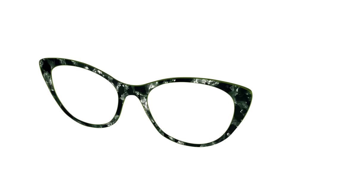 The Olive Pearl Tortoise