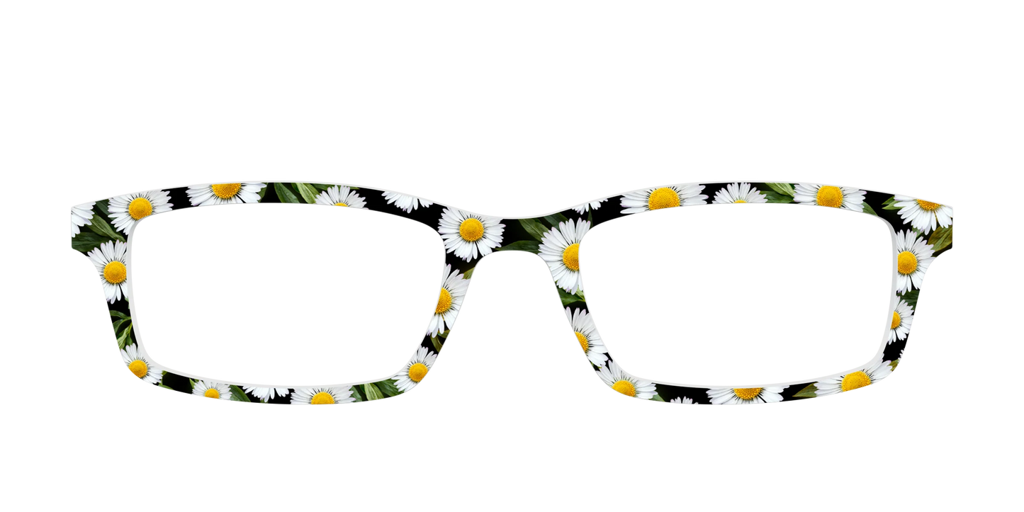 The Delicate Daisies