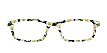 The Delicate Daisies