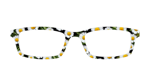 The Delicate Daisies
