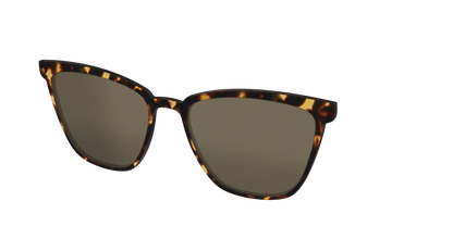 The Polarized Tortoise Sun Top