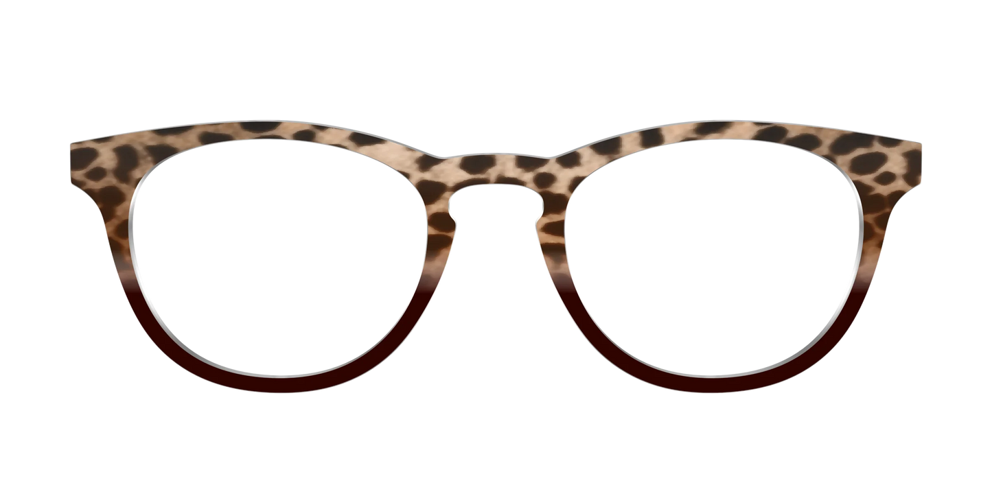 The Jungle Cat Tortoise