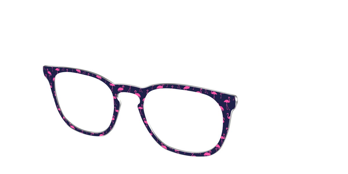 The Navy Flamingos