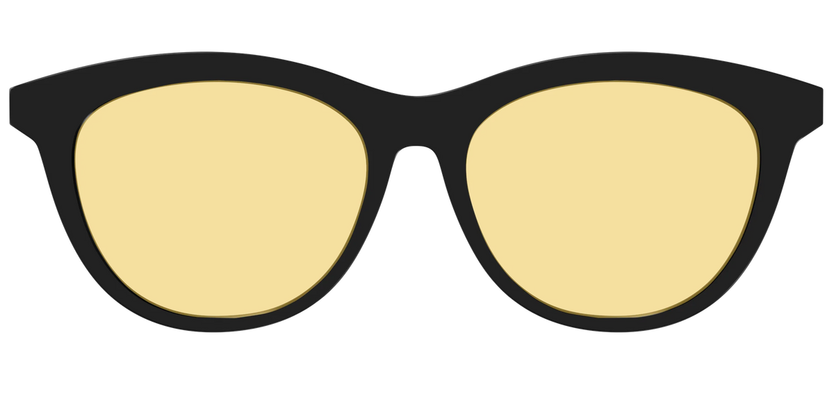 The Black With Citrine Yellow Lens