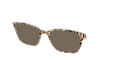 The Polarized Wild Cat Sun Top