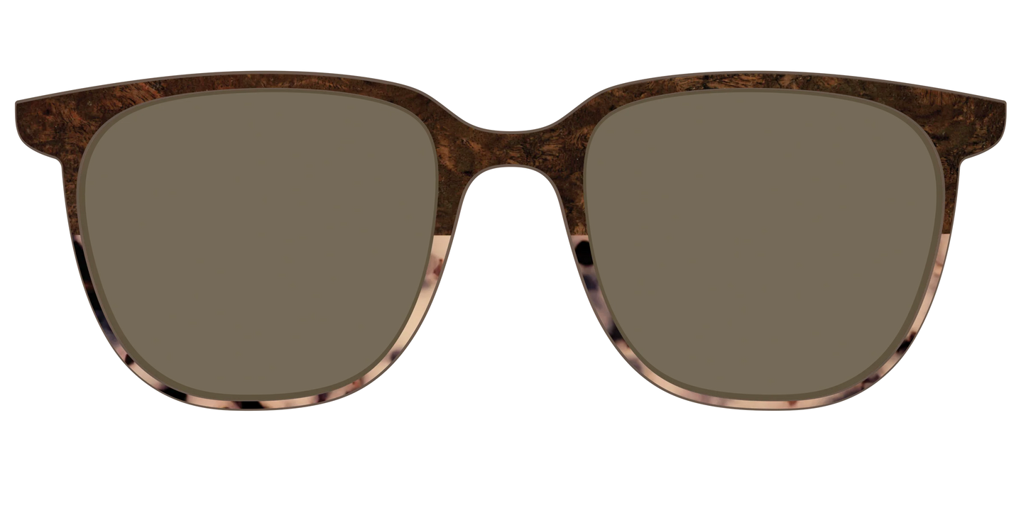 The Polarized Dark Oak Tortoise Split Sun Top