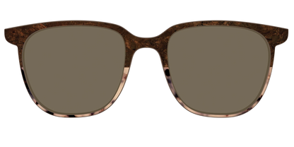 The Polarized Dark Oak Tortoise Split Sun Top