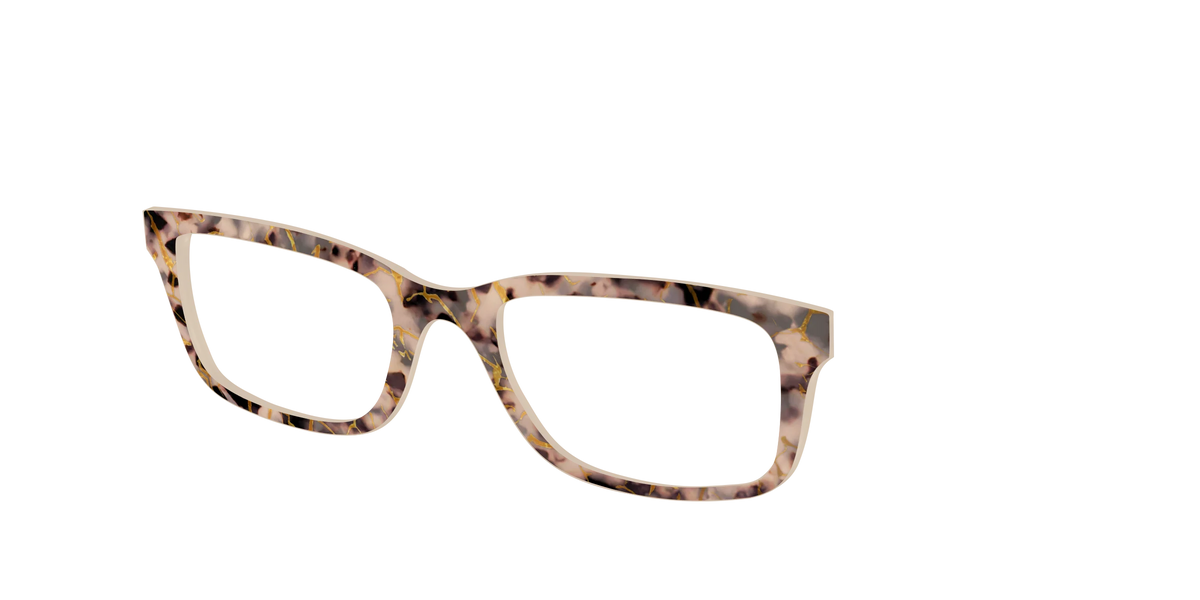 The Almond Tortoise with Gold Streaks