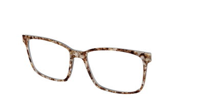 The Sandstone Tortoise