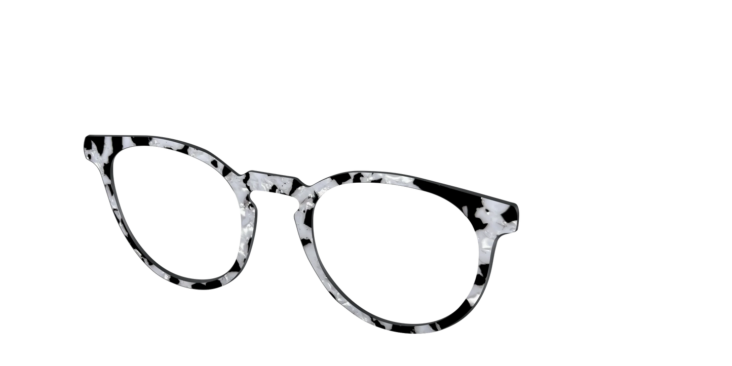The Black & White Pearl Tortoise