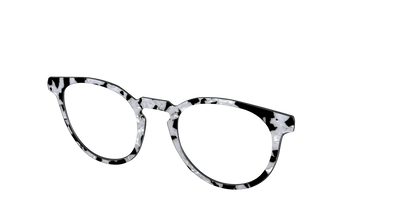 The Black & White Pearl Tortoise