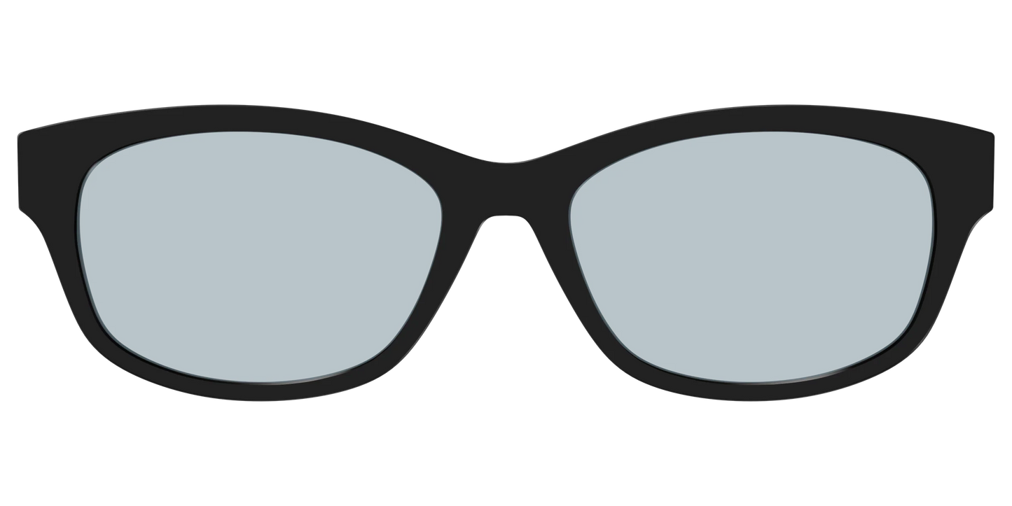 The Black With Slate Blue Lens
