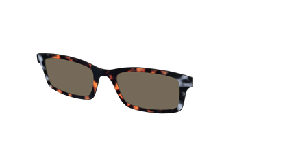 The Polarized Gray & Amber Tortoise Sun Top