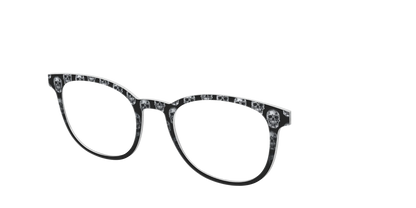 The Chrome Skulls