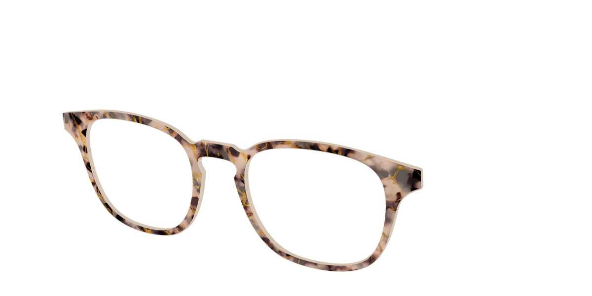 The Almond Tortoise with Gold Streaks