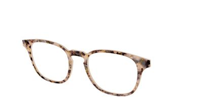 The Almond Tortoise with Gold Streaks