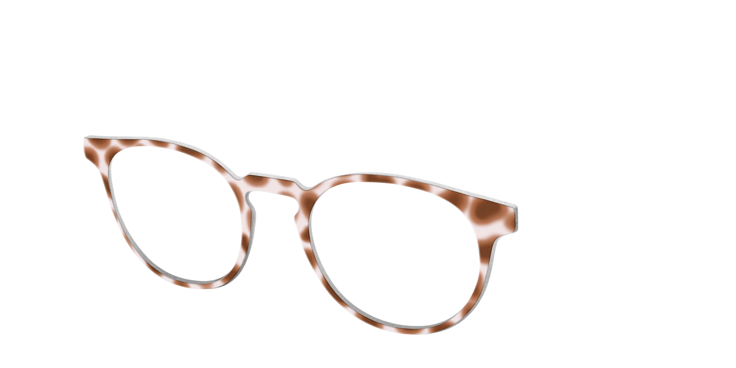 The Caffé Tortoise