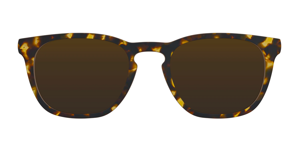 The Polarized Tortoise Sun Top