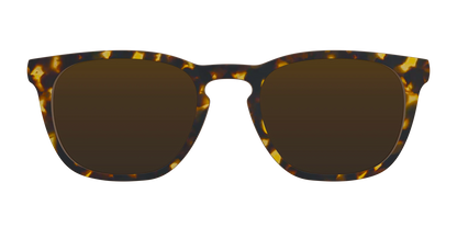 The Polarized Tortoise Sun Top