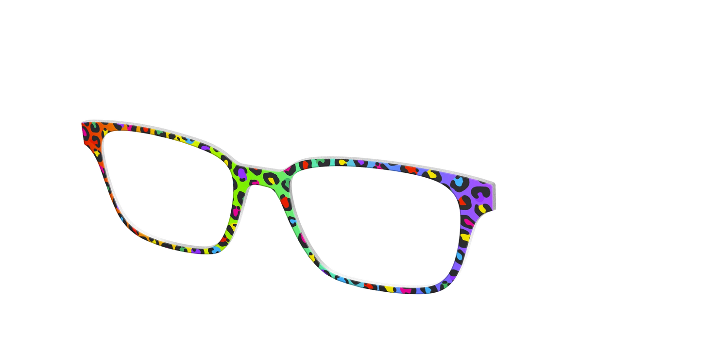 The Rainbow Cheetah