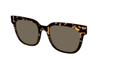 The Polarized Chic Tortoise Split Sun Top
