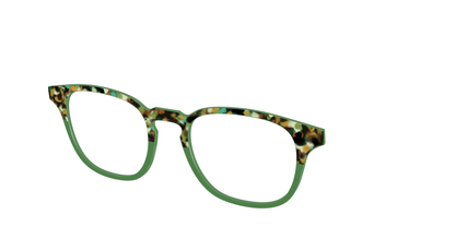 The Forest Tortoise Crystal Split