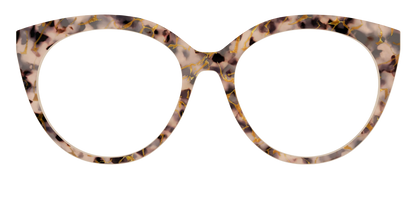 The Almond Tortoise with Gold Streaks