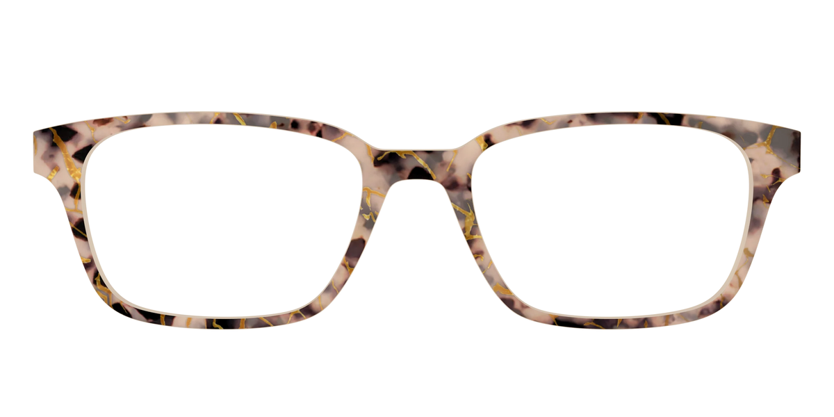 The Almond Tortoise with Gold Streaks