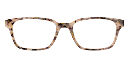 The Almond Tortoise with Gold Streaks