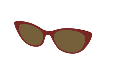 The Polarized Burgundy Sun Top