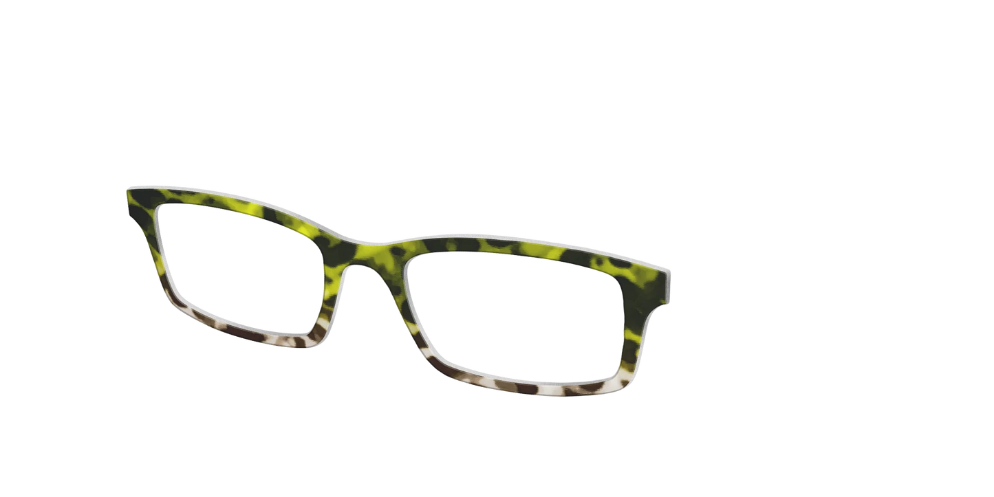 The Avocado to Ivory Tortoise