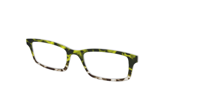 The Avocado to Ivory Tortoise