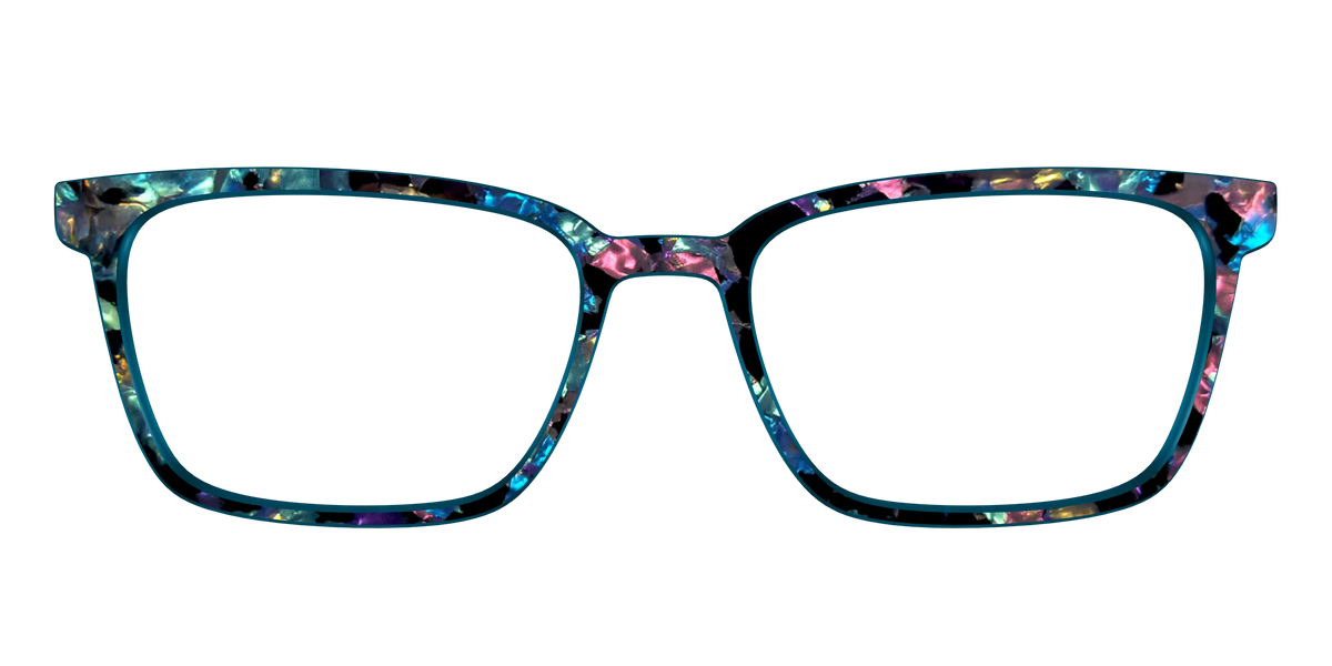 The Black Prismatic Pearl Tortoise