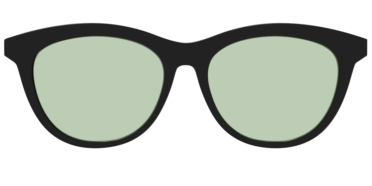 The Black With Sage Green Lens