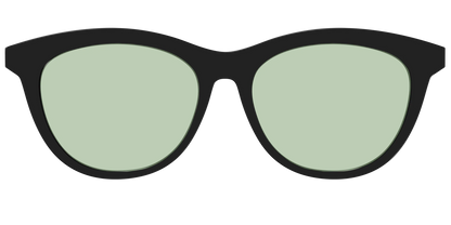 The Black With Sage Green Lens