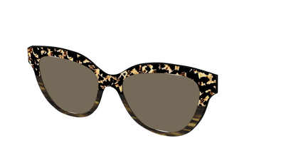 The Polarized Caramel Tortoise Horn Split Sun Top
