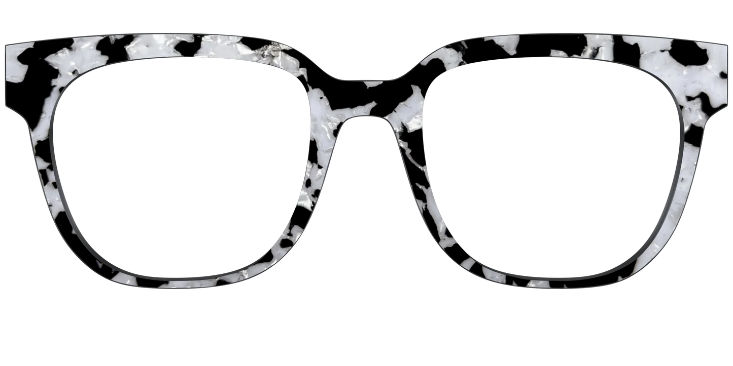 The Black & White Pearl Tortoise