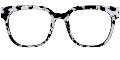 The Black & White Pearl Tortoise