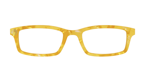 The Hufflepuff™ Pearl Tortoise