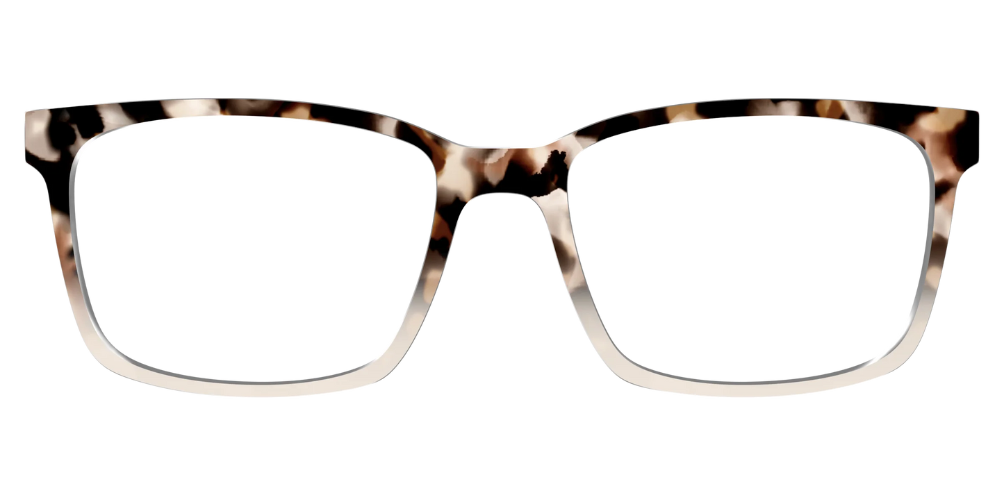 The Vanilla Latte Tortoise