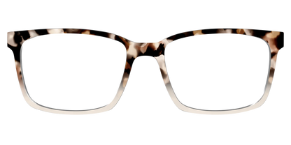 The Vanilla Latte Tortoise