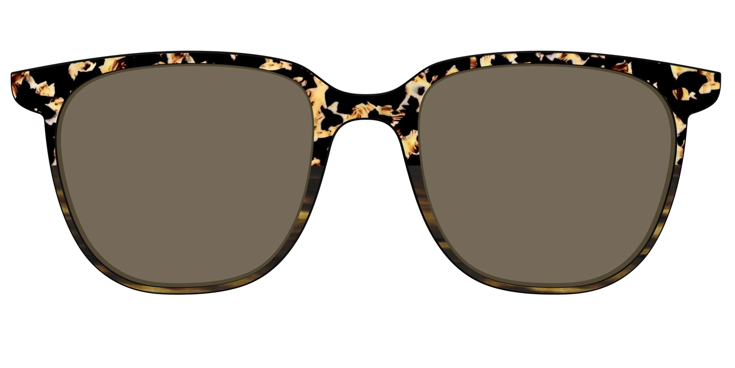 The Polarized Caramel Tortoise Horn Split Sun Top