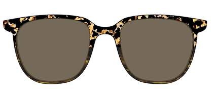 The Polarized Caramel Tortoise Horn Split Sun Top