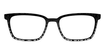 The Black Cheetah