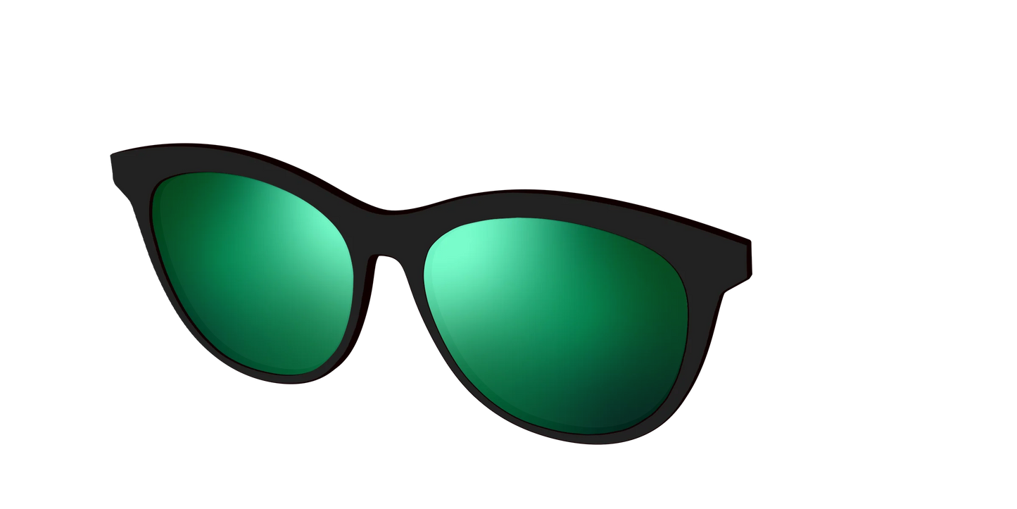 The Polarized Green Reflective Sun Top