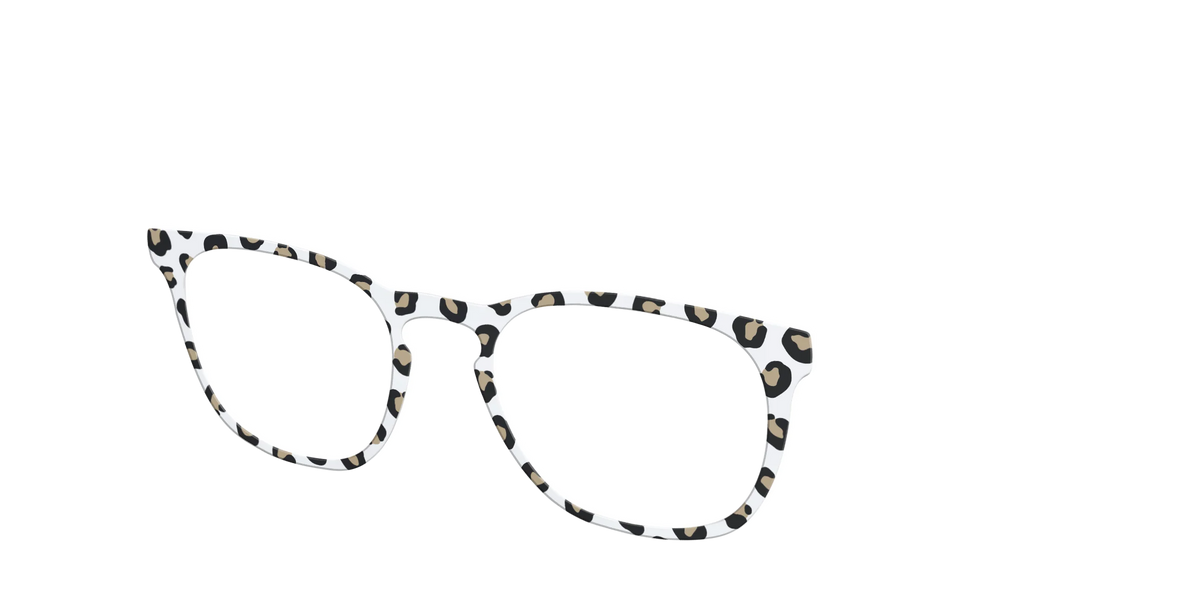 The Classic Cheetah